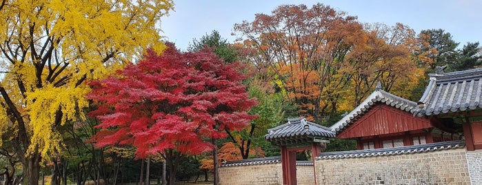 종묘 외대문 / 宗廟 外大門 / Jongmyo Shrine Oidaemun is one of Seoul.