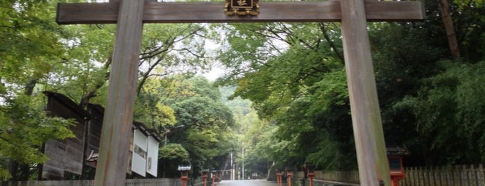 Hiraoka Shrine is one of 八百万の神々 / Gods live everywhere in Japan.