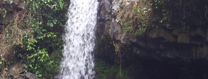 Curug gede is one of Place must visit in Purwokerto.