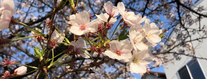 高木八幡神社 is one of 摂津国武庫郡の神社.