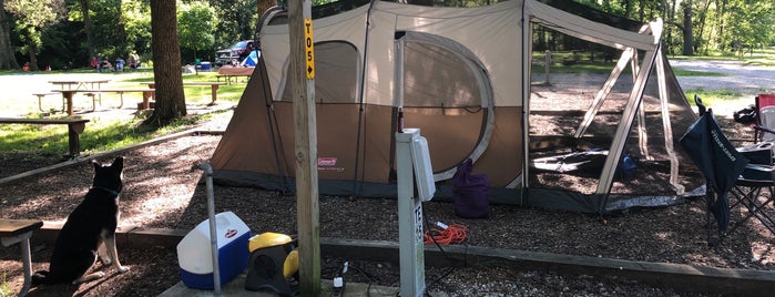 St Louis West/Historic Route 66 KOA Campground is one of Orte, die Stephen gefallen.