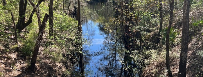 River Rise State Park is one of FL Springs.
