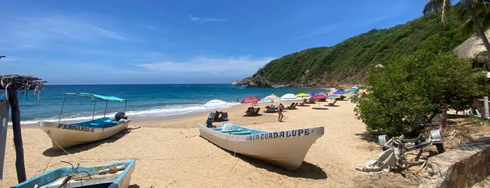 Playa Rinconcito is one of Puerto Ángel, Mexico.