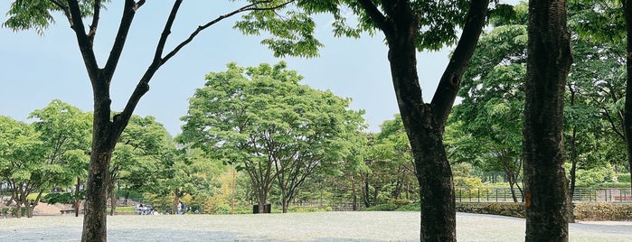 Seonyudo Park is one of Places to visit in Seoul.
