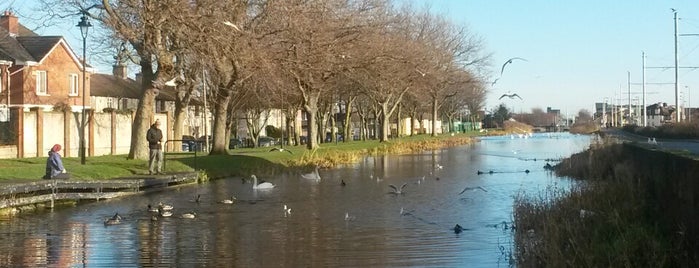 Grand Canal is one of Orte, die Roberto gefallen.