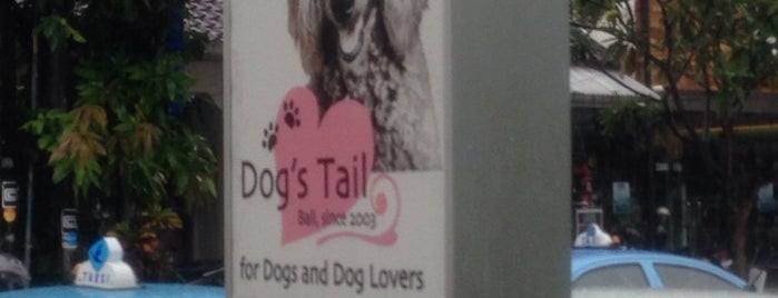 Dog's tail is one of My Bali.