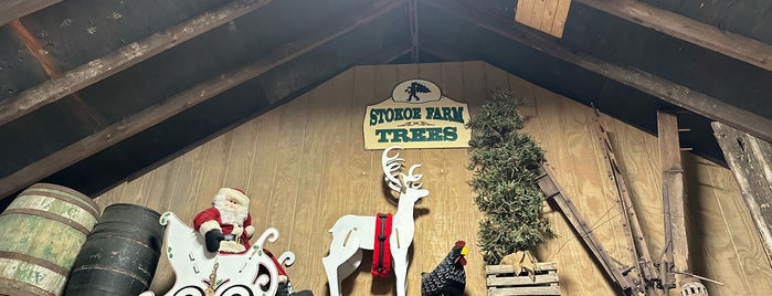 Stokoe Farms is one of Top 10 places to try this season.