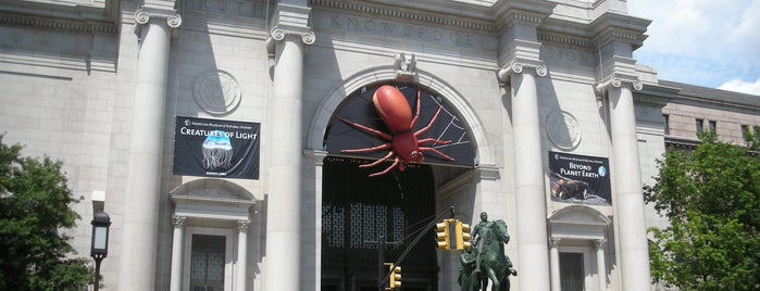 Museu Americano de História Natural is one of New York City.