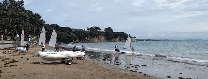 Narrow Neck Beach is one of Most used.