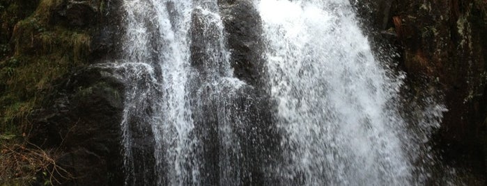 Grande cascade de Tendon is one of Lieux qui ont plu à Hans.