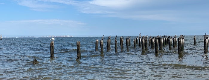 Miller's Field Beach is one of Lizzie : понравившиеся места.