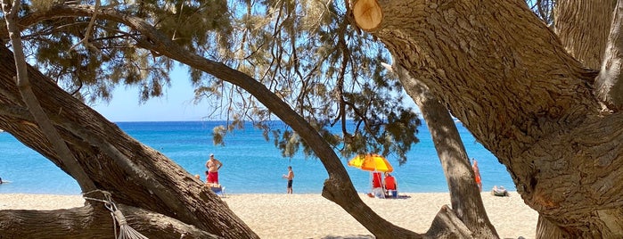 Fellos Beach is one of Andros Beaches.