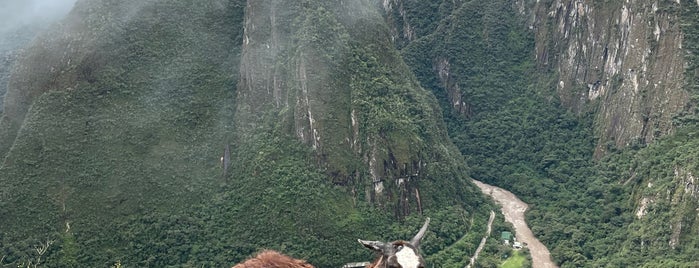 Montaña Machupicchu is one of Orte, die Sebastián gefallen.