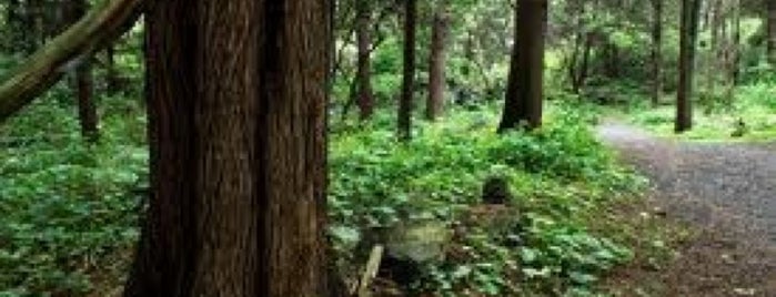 Bosque de Tlalpan is one of Lo mejor de Tlalpan.