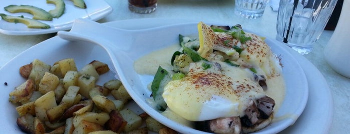 The Egg I Am, Scottsdale is one of Beyond Old town (Central & North Scottsdale).