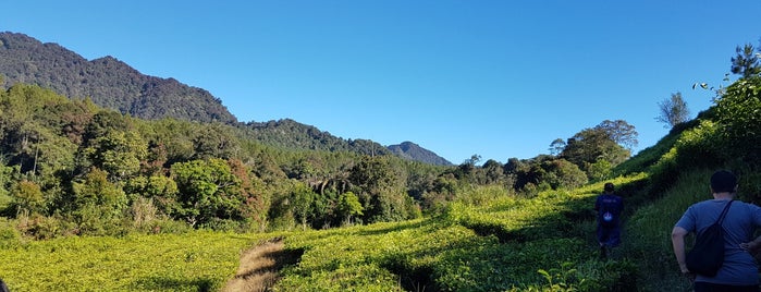 CIC is one of Tempat-tempat yang pernah saya kunjungi..