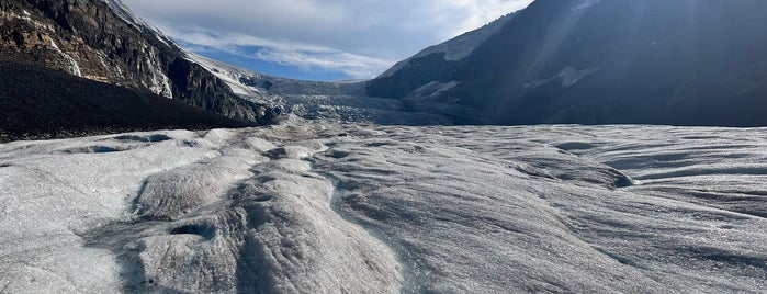 Columbia Icefield Glacier Discovery Centre is one of Locais curtidos por Adriane.