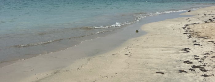 Playa Las Terrenas is one of Playas @RD.