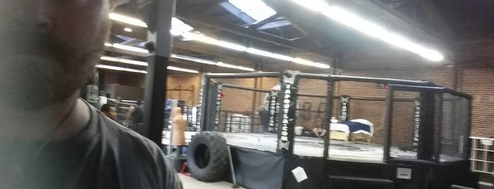 Tapout Training Center is one of Andrew'in Kaydettiği Mekanlar.