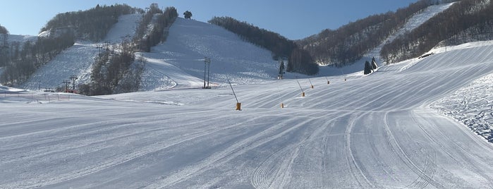 ほおのき平スキー場 is one of スキーヤーが楽しめるスキー場.