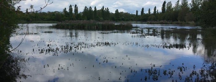 Humedal de Salburua is one of Zonas Deportivas.