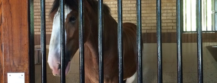 Clydesdale Stables is one of Lieux qui ont plu à Tammy.