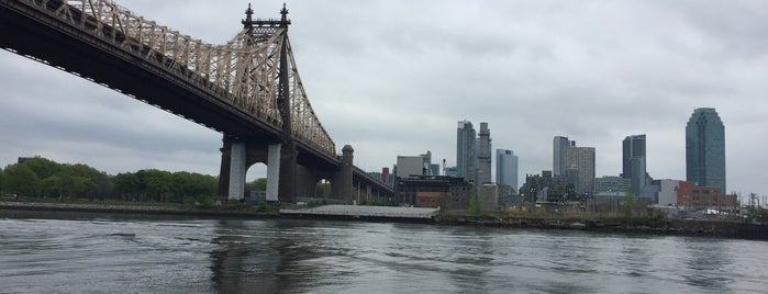 Roosevelt Island Sports Park is one of Darioさんのお気に入りスポット.