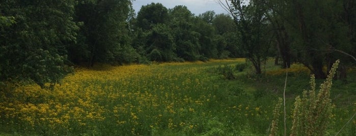 Big Muddy National Fish And Wildlife Refuge is one of สถานที่ที่ Jonathan ถูกใจ.