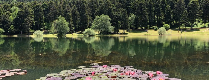 Abant Gölü Milli Parkı is one of Doğa.