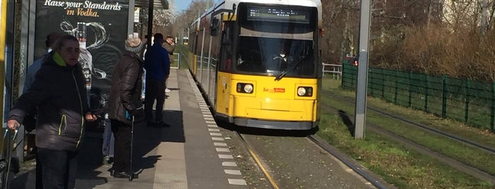 H Ahrenshooper Straße is one of Berlin tram stops (A-L).