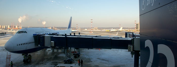 Выход / Gate 23/23A is one of Vnukovo airport locations.