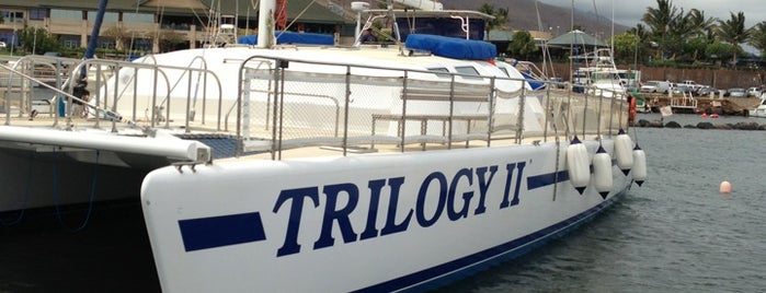 Trilogy Excursions is one of snuba and snorkel.
