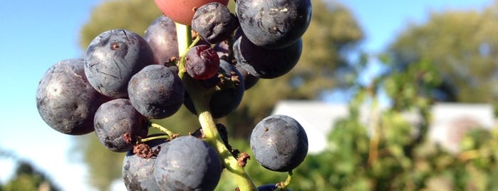 Somerset Ridge Vineyard & Winery is one of Lugares favoritos de Phil.