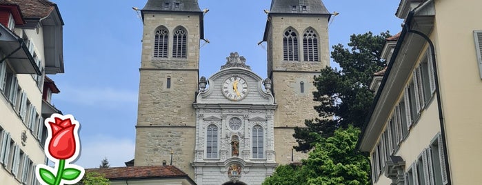Hofkirche St. Leodegar is one of Lizzieさんのお気に入りスポット.