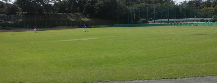 CAR3219FIELD is one of プロ野球の野球場.