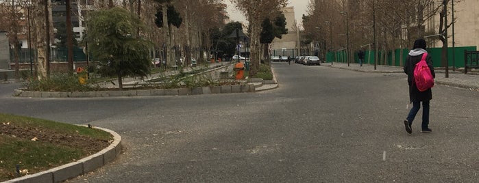 Tehran University College of Engineering | پردیس دانشکده‌های فنی دانشگاه تهران is one of سعيد.