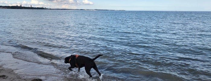 Hundestrand is one of สถานที่ที่ Wolfgang ถูกใจ.