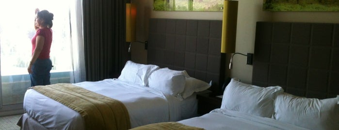 Hotel Sun Monticello is one of Alejandra : понравившиеся места.