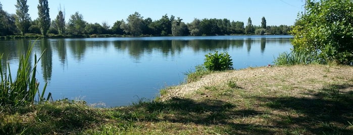 Lac de La Blanche is one of Check-in' local (Ambarès & Lagrave).