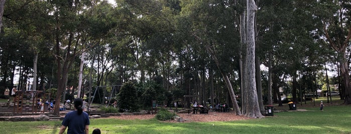 Beauchamp Park Chatswood is one of Alfie's Playground.