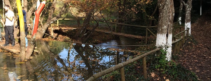 Παραποτάμια διαδρομή - Καταρρακτούλης is one of 🐸Natasa'nın Beğendiği Mekanlar.