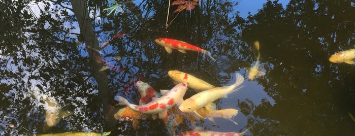 The Turtle Pond is one of Neha : понравившиеся места.