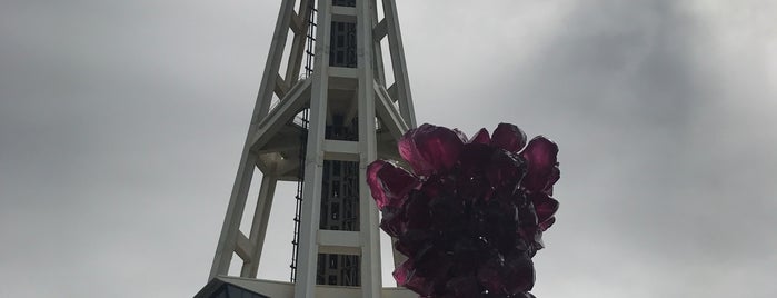 Space Needle: Observation Deck is one of Locais curtidos por Neha.