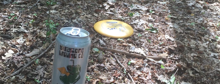 Renaissance Park Disc Golf Course is one of Entertainment And Places To Go.