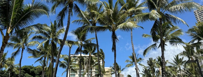 Kuroda Field is one of Honolulu.