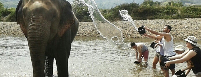 Elephant Nature Park is one of Chiang Mai.