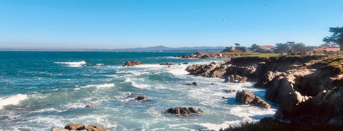 Monterey Beach is one of HWY1: Santa Cruz to Monterey/Carmel.