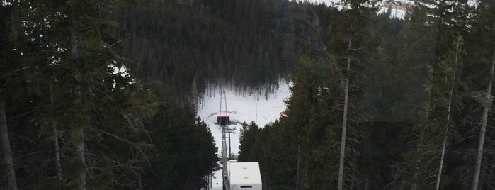 Twinliner is one of SKI&SNB Slovakia.