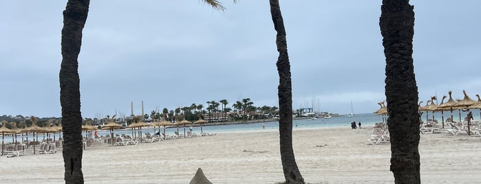 Playa de Alcudia is one of MALLORCA & 🌱VEGAN FOOD.