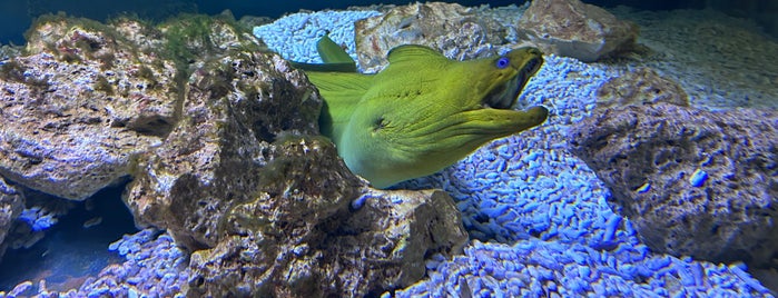 Tropicarium Park is one of Jesolo da vivere.